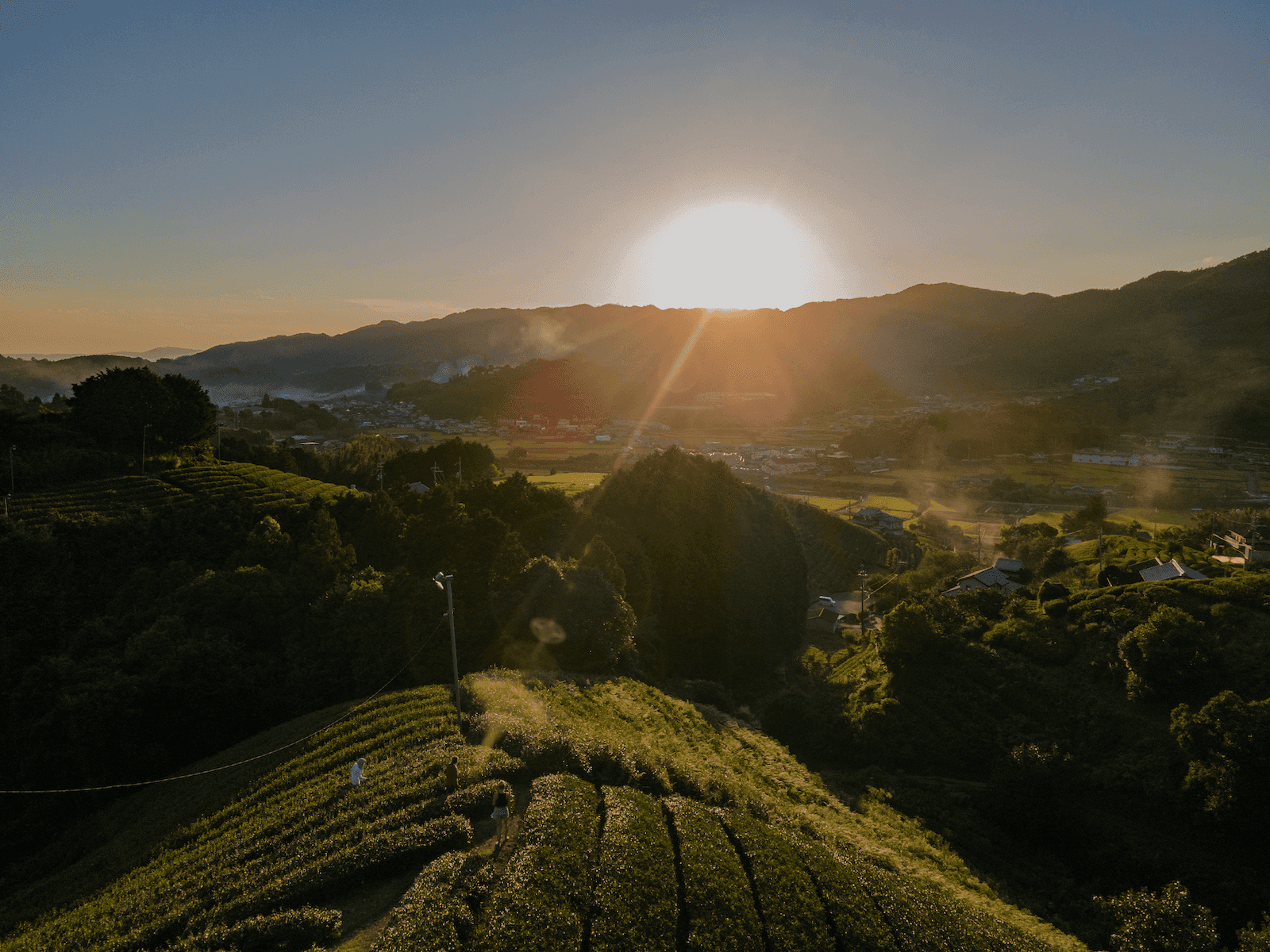Wazuka at sunset